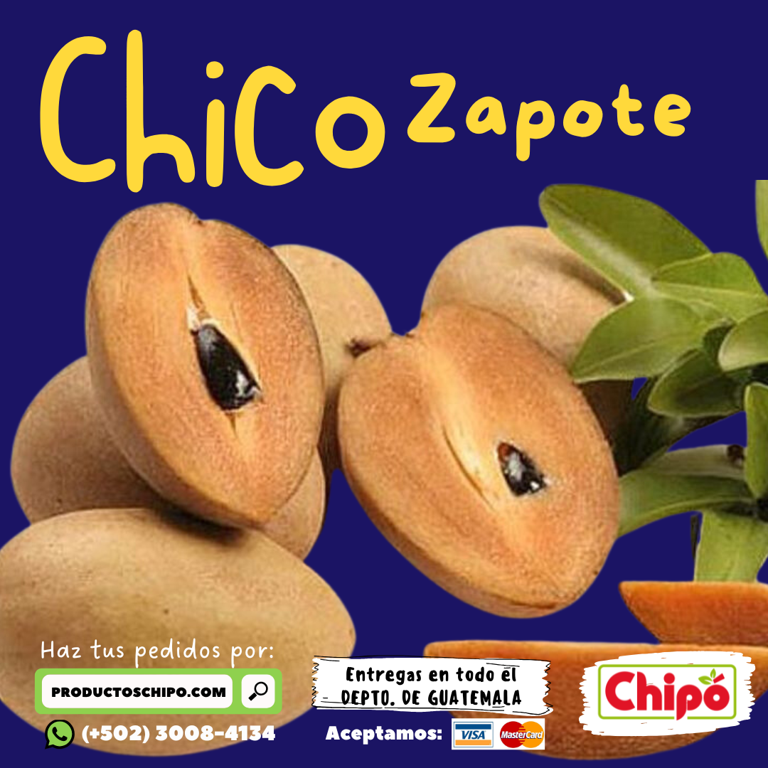 Chico Zapote