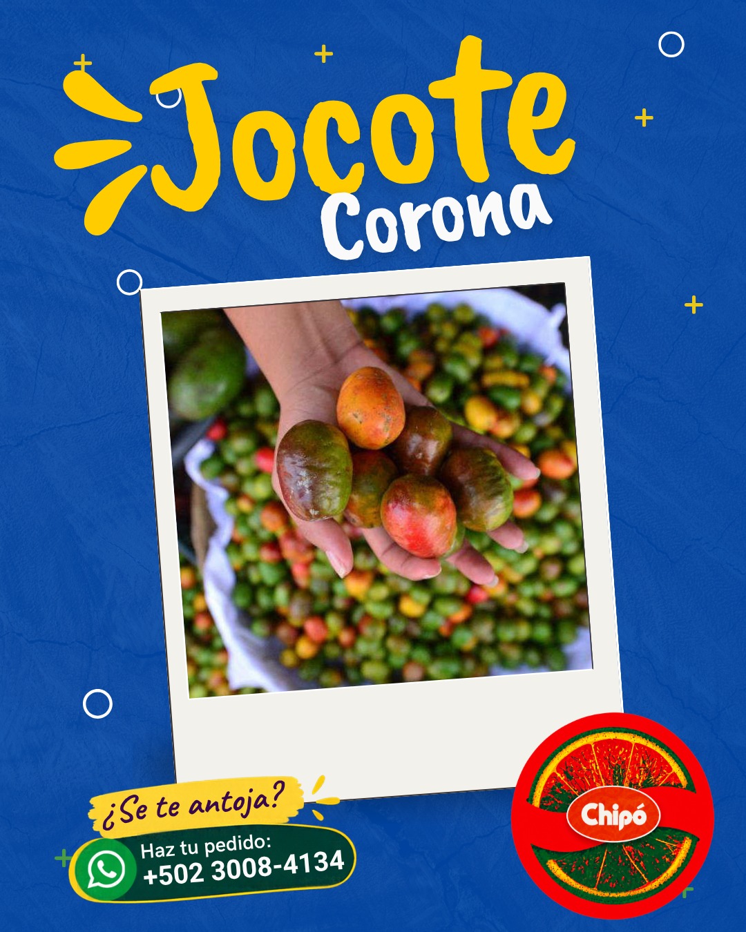 Jocote Corona